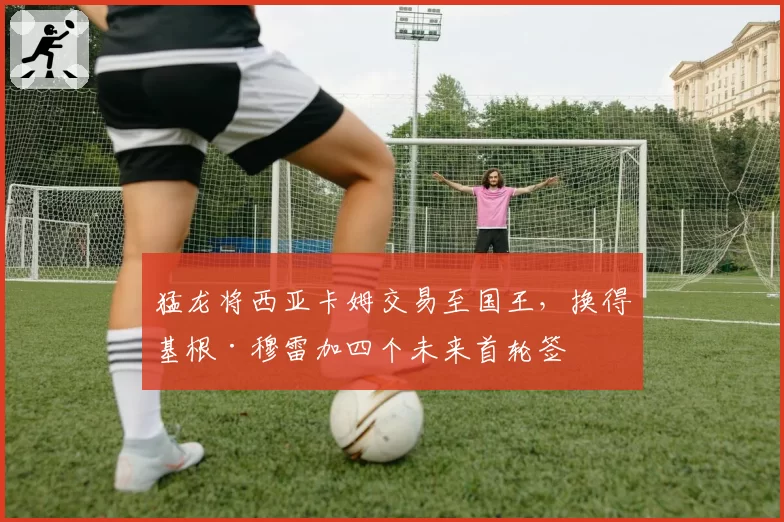 猛龙将西亚卡姆交易至国王，换得基根·穆雷加四个未来首轮签